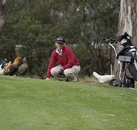 Tasmania Golf Club - The - Accommodation Sydney
