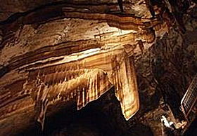 Gunns Plains Cave - Accommodation Sydney 0