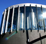 Moo Brew - Accommodation Sydney