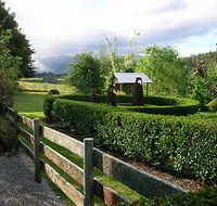 Wychwood Garden  Nursery - Sydney 4u