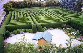Westbury Maze And Tea Room - Accommodation Sydney 0