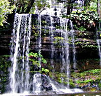 Mt Field National Park - Accommodation Sydney
