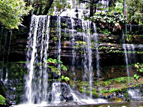 Mt Field National Park - Accommodation Sydney 0