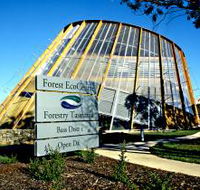 Forest EcoCentre - Accommodation Sydney