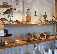 Touchwood Craft Gallery Gifts and Cafe - Accommodation Sydney