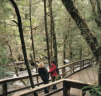 Franklin River Nature Trail - Accommodation Sydney