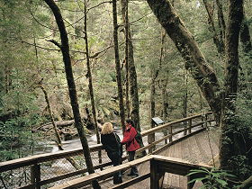 Franklin River Nature Trail - Accommodation Sydney 0