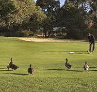 Royal Hobart Golf Club - Accommodation Sydney