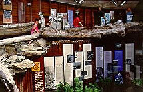 West Coast Visitor Information And Booking Centre - Accommodation Sydney 0