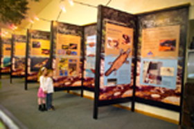 Platypus Experience - Accommodation Sydney 0