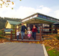 Australian Axeman's Hall of Fame - Accommodation Sydney