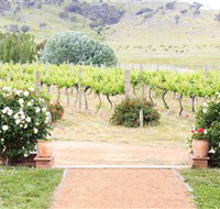 Brindabella Hills Winery - Accommodation Sydney