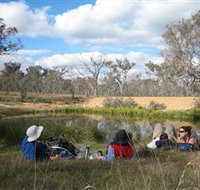 Canberra Nature Park - Accommodation Sydney