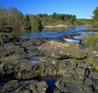 Pine Island to Point Hut Reserve - Accommodation Sydney