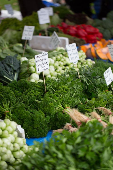 Salamanca Market - Accommodation Sydney 5