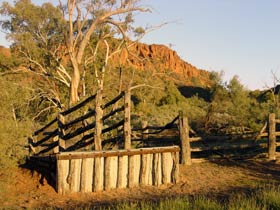 Illamurta Springs Conservation Reserve - Sydney 4u 0