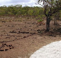 Wurrwurrwuy Garanhan Macassan Beach Interpretive Walk - Sydney Resort