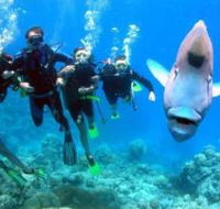 The Aarhus Dive Site - Accommodation Sydney