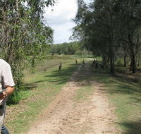 Coombabah Lakes Conservation Area - Accommodation Sydney