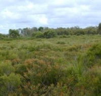 Pine Ridge Conservation Park - Accommodation Sydney