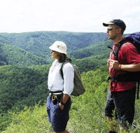 Sunshine Coast Hinterland Great Walk - Accommodation Sydney