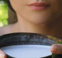 Ikatan Day Spa - Accommodation Sydney