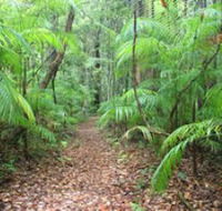 Delicia Road Conservation Park - Accommodation Sydney