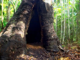 Tewantin National Park - Sydney Resort 0