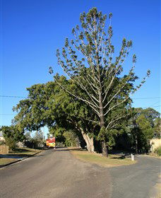 Beerburrum QLD Sydney 4u
