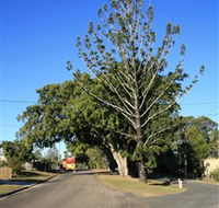 Anzac Avenue Memorial Trees Beerburrum - Sydney 4u