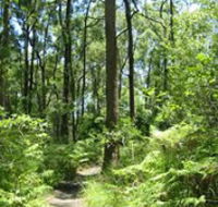 Mapleton Falls National Park - Accommodation Sydney