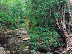 Mudlo National Park - Accommodation Sydney 0
