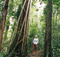 Wet Tropics - Sydney 4u