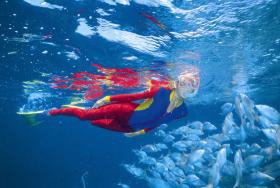 Pixie Pinnacle Dive Site - Accommodation Sydney 0