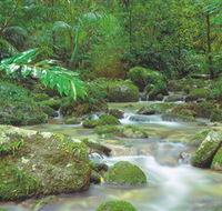 Mossman Gorge Daintree National Park - Sydney 4u
