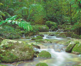 Mossman Gorge, Daintree National Park - Accommodation Sydney 0