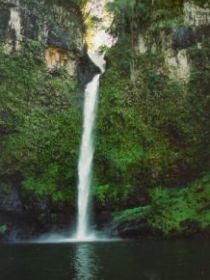 Nandroya Falls Circuit Track, Wooroonooran National Park - Sydney Resort 0