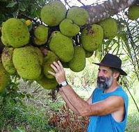 Cape Trib Exotic Fruit Farm - Sydney 4u