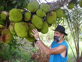 Cape Trib Exotic Fruit Farm - Sydney 4u 0