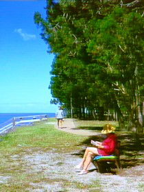 Woodgate QLD Accommodation Sydney