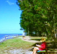 Melaleuca Track - Accommodation Sydney