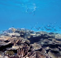 Australian Institute of Marine Science - Accommodation Sydney