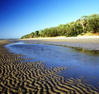 Burrum Coast National Park - Accommodation Sydney