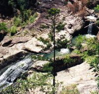 Banksia Track and the Boardwalk - Accommodation Sydney