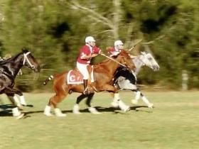 Wiyarra QLD Accommodation Sydney