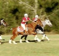 Morgan Park - Accommodation Sydney