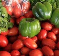 Burleigh Heads Markets - Accommodation Sydney