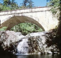 Mount Spec Paluma Range National Park - Sydney 4u