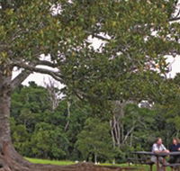 Ravensbourne National Park - Accommodation Sydney