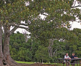 Ravensbourne National Park - Accommodation Sydney 0